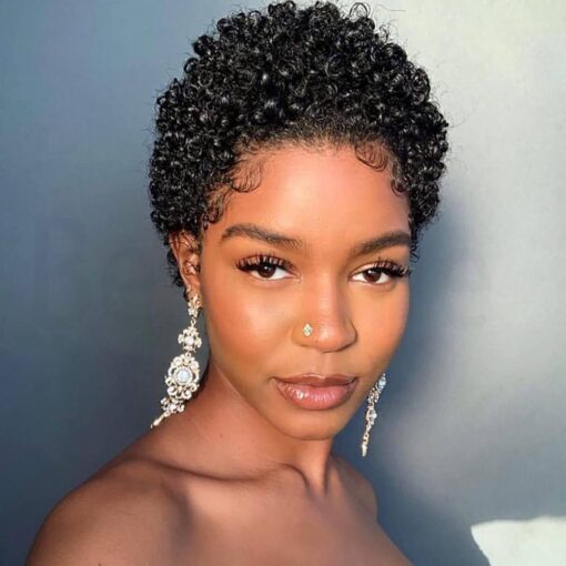 Besteffie Short Afro Kinky Curly Wigs For Women Black Women Human Hair Wig Pixie Cut Wig Natural Black Color 100% Brazilian Virgin Hair Short Human Hair MI1603573