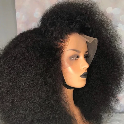 Brazilian Afro Kinky Curly Natural 13X4 4X4 Lace Front Human Hair Wig MI1603280