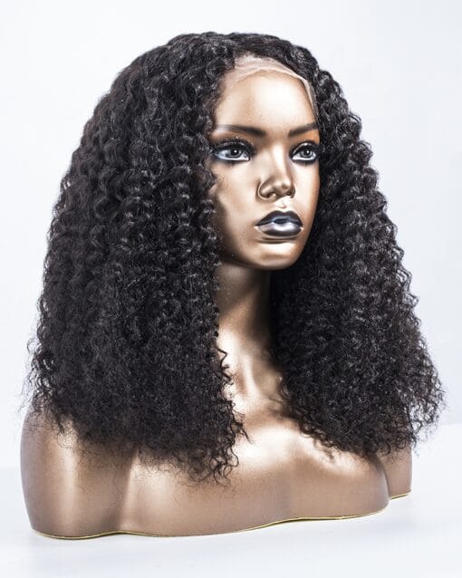 Burmese Curly 131 Lace Front Wig MI1607361