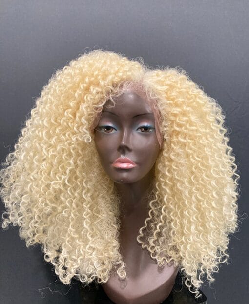 Essence Wigs Platinum Blonde Kinky Curly Lace Front Natural MI1611537