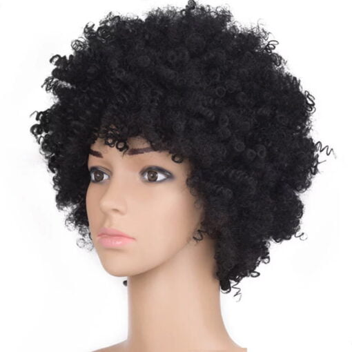 Hellobye〗Black Synthetic Curly Wigs For Women Women Short Wig MI1603094