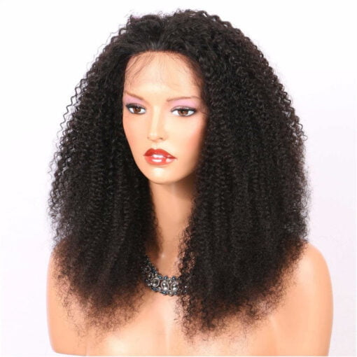 Holly Afro Kinky Curly Full Lace Human Hair Wigs Natural MI1605326