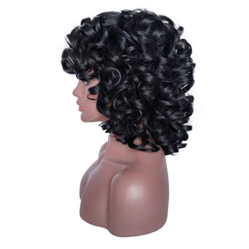 Keat Short Wigs For Women Black Women Curly Afro Kinky Wavy Wig MI1603479