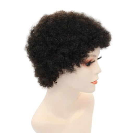 Kinky Curly Afro Wig For Women Black Women With Bangs Short Human MI1603579