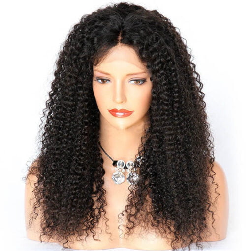 Kinky Curly Full Lace Wig – The House Of Bundles MI1602855