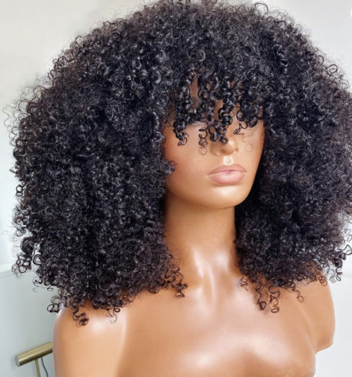 Kinky Curly Glueless Wig – Zola Hair MI1604975