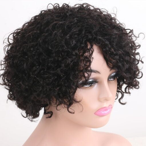 Manemajesty Short Curly Human Hair Wigs For Women MI1605495