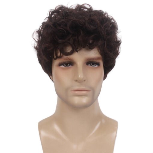 Men Brown Short Curly Wig Fluffy Synthetic Fiber Hair Wigs For Women Men Daily Wig Us MI1603263