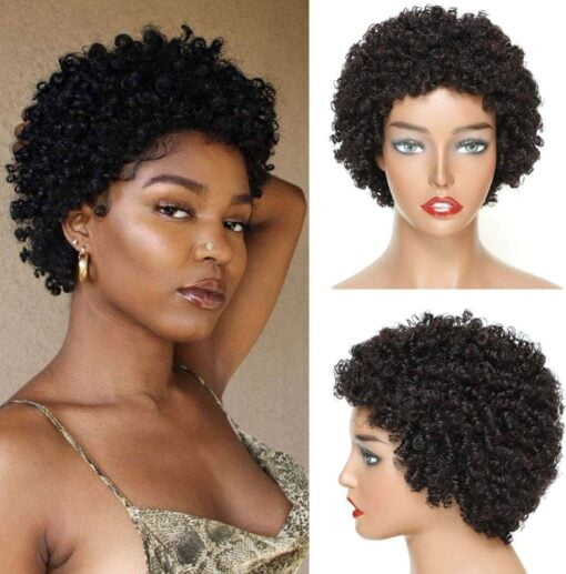 Ms Taj Short Human Hair Afro Wigs For Women Black Women Brazilian Virgin Short Curly Afro Wigs Human Hair 150% Density Natural Black (Style Two) (Natural MI1602090