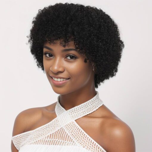 Plecare Afro Wigs Human Hair For Women Women Short Glueless Afro Curly Wig, Brazilian Virgin Hair Afro Kinky Curly Wig 70S For Women Cosplay Or Daily Use (Black) MI1603577