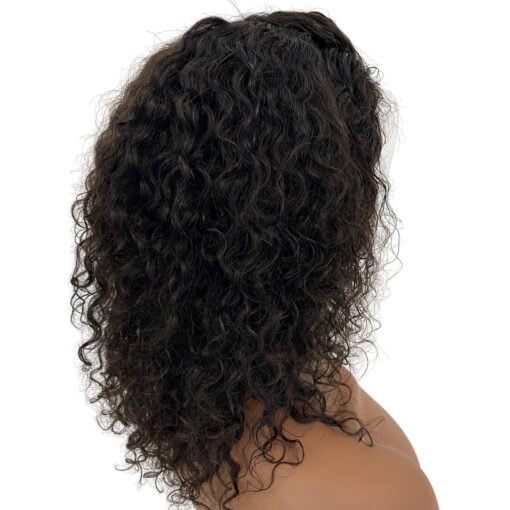 Raw Indian Full Lace Wigs Curly Christopher Anthony'S MI1604368