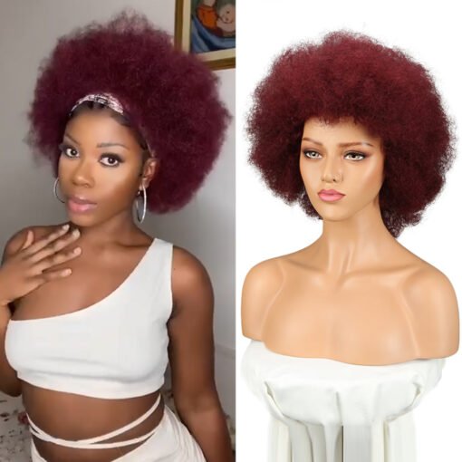 Rebecca Fashion Curly Afro Wig Human Hair Burgundy Wigs MI1602412