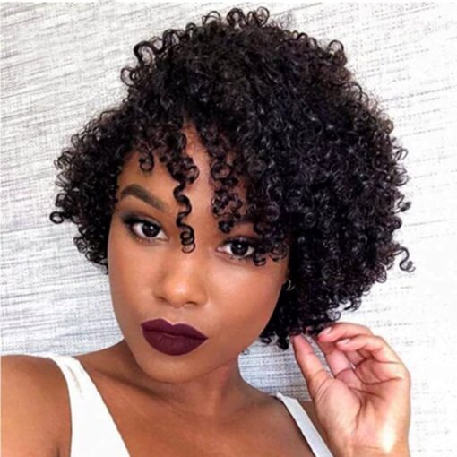 Reyna Short Curly Human Hair Wigs For Women Black Women Water Wave Brazilian Virgin Glueless Human Hair Wigs For Women Black Women MI1604812