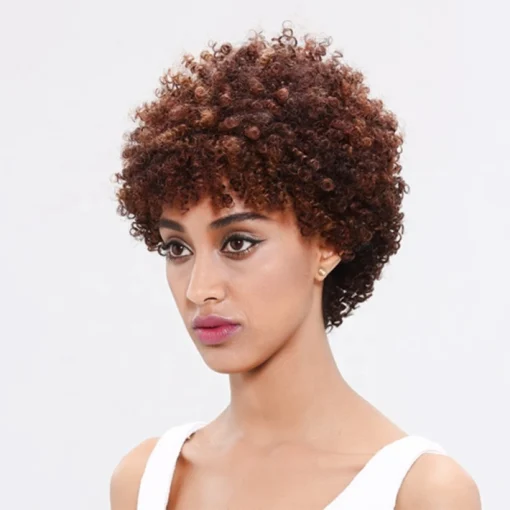 Short Afro Curly Wigs With 100% Brazilian Hair Wigs For Women Black Women Capless Non Lace Human Hair Wigs MI1604545