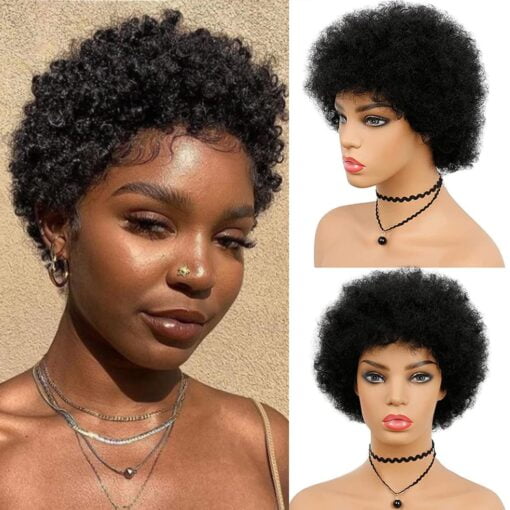 Short Afro Kinky Curly Human Hair Wig Brazilian Algeria MI1602403