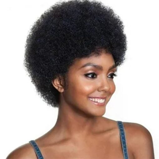 Short Afro Kinky Curly Wigs For Women Black Women Human Hair MI1604818