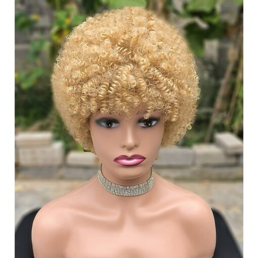 Short Curly Hair Wig Synthetic Curly Wigs For Women Black Women MI1604820