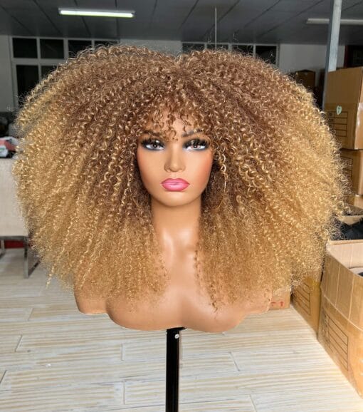 Sweece Long Curly Afro Wig With Bangs For Women Black Women Kinky Curly Hair Wig 17 Inch (17 Inch, Ombre Blonde) MI1606449