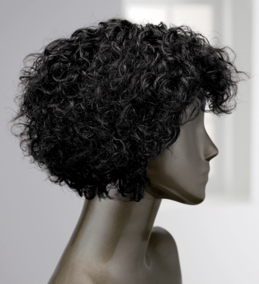 Vivica Fox Jasper Wig | Ashro MI1605736