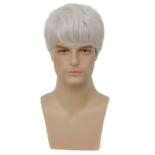 White Mens Short Wig Natural Fluffy Synthetic Hair Wig For Women Male Guy Daily Party Costume Wig (White) MI1610771